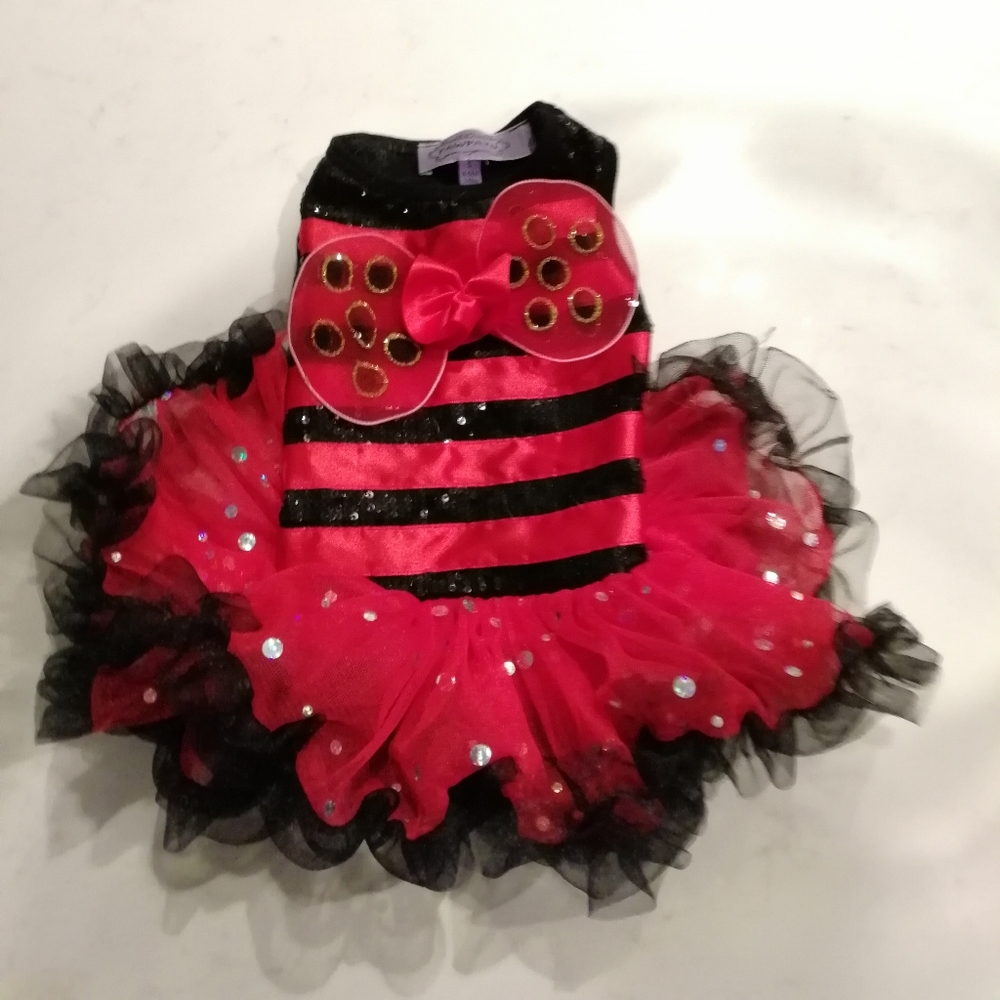 Dog ladybug custom